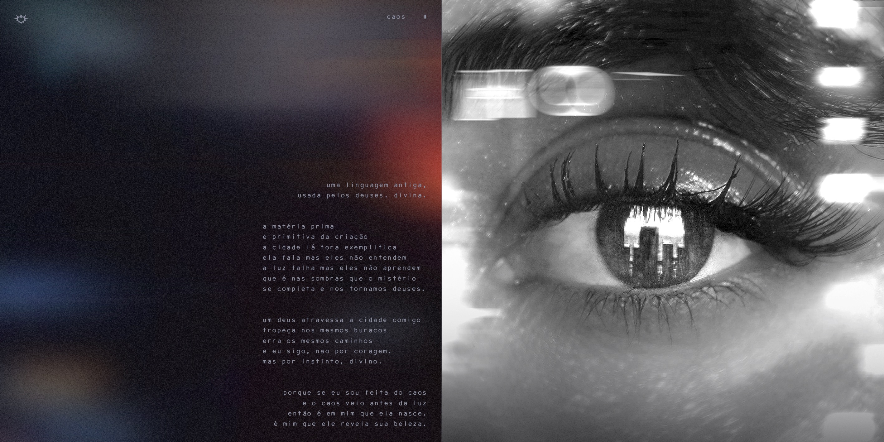 A Beleza do Caos - Encarte 9